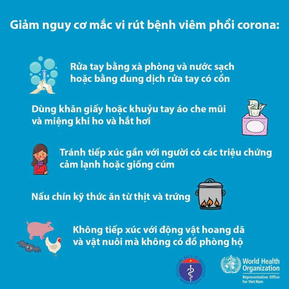 Bộ Y tế: Cẩm nang hỏi - đáp thông tin về bệnh viêm đường hô hấp cấp do chủng mới vi rút corona (nCoV) - Ảnh 10.