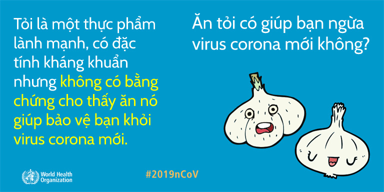 WHO đính chính 10 tin đồn rất nhiều người nhầm tưởng về virus corona, hiểu đúng sẽ giúp bạn phòng tránh bệnh tật hiệu quả hơn - Ảnh 2.