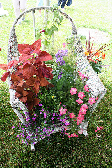5 ý tưởng hô biến ghế cũ thành khu vườn mini 5ideastotransformoldchairsintobeautifulminigardens4 58efe 5 ý tưởng hô biến ghế cũ thành khu vườn mini