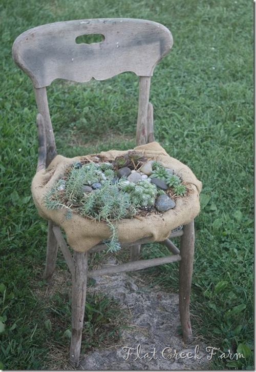 5 ý tưởng hô biến ghế cũ thành khu vườn mini chair1thumb6 480c9 5 ý tưởng hô biến ghế cũ thành khu vườn mini
