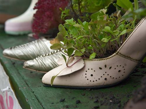 shoescontainergarden32 4fcf9 Có tới 1001 cách tận dụng giày cũ để trồng hoa trong vườn