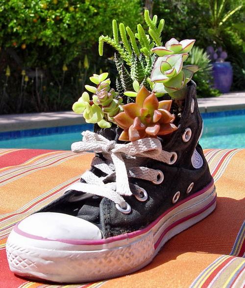 shoescontainergarden41 31e05 Có tới 1001 cách tận dụng giày cũ để trồng hoa trong vườn