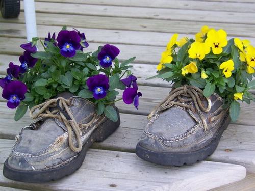 shoescontainergarden51 2bf9d Có tới 1001 cách tận dụng giày cũ để trồng hoa trong vườn