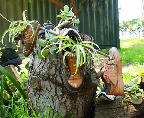 shoescontainergarden52 604fb Có tới 1001 cách tận dụng giày cũ để trồng hoa trong vườn