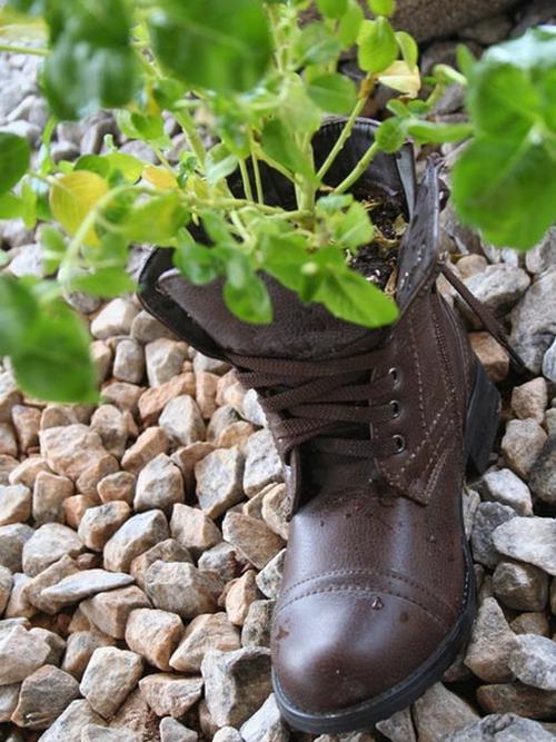 shoescontainergarden55 4520c Có tới 1001 cách tận dụng giày cũ để trồng hoa trong vườn