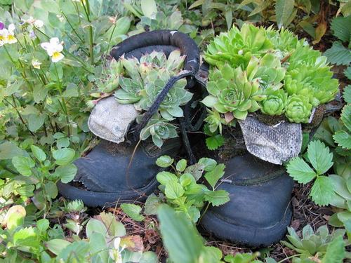 shoescontainergarden57 21483 Có tới 1001 cách tận dụng giày cũ để trồng hoa trong vườn