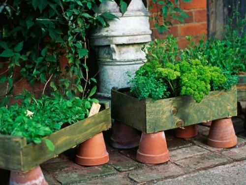 Gợi ý những cách cực kì đơn giản để tạo khu vườn mini xinh xắn gocnhoxanhumcaycoi8 aebec Gợi ý những cách cực kì đơn giản để tạo khu vườn mini xinh xắn