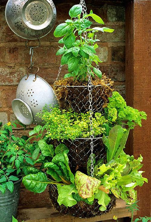 Gợi ý những cách cực kì đơn giản để tạo khu vườn mini xinh xắn gocnhoxanhumcaycoi9 35021 Gợi ý những cách cực kì đơn giản để tạo khu vườn mini xinh xắn