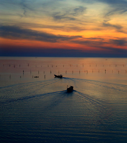 Hút hồn vẻ đẹp phá Tam Giang 9