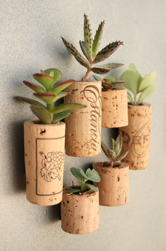 4 cách tạo khu vườn mini cho căn nhà của bạn 1 4 cách tạo khu vườn mini cho căn nhà của bạn 1