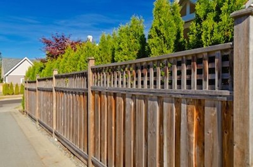 4 cách hay để sân vườn vừa mát vừa riêng tư 1 4 cách hay để sân vườn vừa mát vừa riêng tư 1