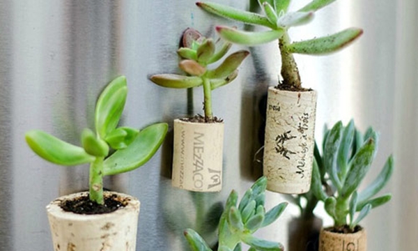 Trang trí nhà đẹp và độc từ nút rượu vang 5 Trang trí nhà đẹp và độc từ nút rượu vang 5