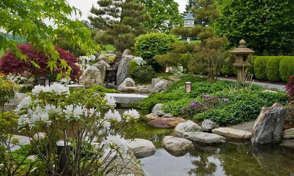 Những thiết kế hồ nước nhỏ xinh cho sân vườn 11