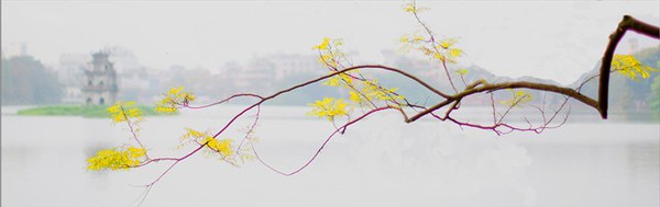 Hình ảnh độc đáo về tháp rùa hồ Gươm 6 Hình ảnh độc đáo về tháp rùa hồ Gươm 6