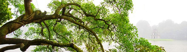 Hình ảnh độc đáo về tháp rùa hồ Gươm 7 Hình ảnh độc đáo về tháp rùa hồ Gươm 7