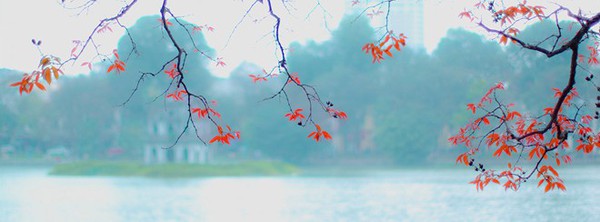Hình ảnh độc đáo về tháp rùa hồ Gươm 8 Hình ảnh độc đáo về tháp rùa hồ Gươm 8