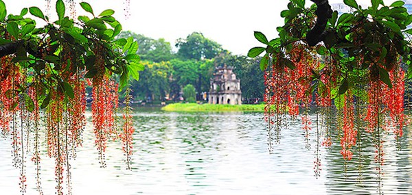 Hình ảnh độc đáo về tháp rùa hồ Gươm 13 Hình ảnh độc đáo về tháp rùa hồ Gươm 13