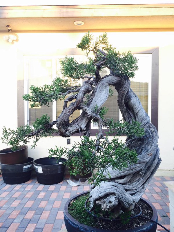 bằng kiều bằng kiều