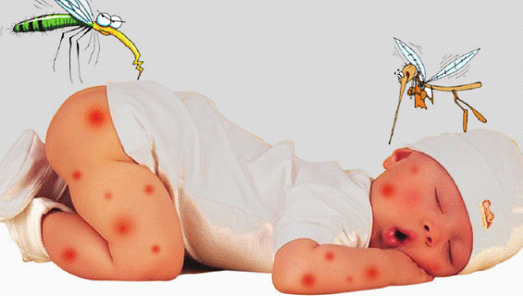 Phòng ngừa bệnh sốt xuất huyết cho trẻ trước khi bệnh bùng phát 1
