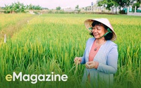 “Bà mẹ Lúa” Nguyễn Thị Lang:
Khát vọng của tôi là thương hiệu gạo Việt Nam có tên trên bản đồ thế giới