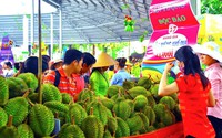 Vui hè Suối Tiên với Lễ hội Trái cây Nam Bộ 2018