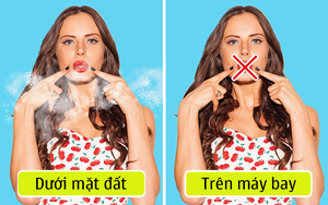 Đây là những điều kỳ lạ sẽ xảy ra với cơ thể khi bạn ngồi trên máy bay
