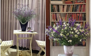 Ghé thăm căn hộ đẹp bình yên, trong trẻo đến lạ thường của người phụ nữ yêu hoa ở TP HCM