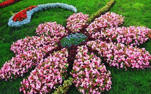 20 cách tạo luống hoa đẹp như chốn mê cung cho khu vườn mùa hè