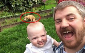 1001 chiêu trò phá đám của những con thú cưng