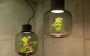 15 kiểu chậu cây tạo nên vẻ đẹp cuốn hút cho không gian sống của bạn