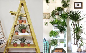 Mẹo nhỏ tận dụng kệ tầng đã cũ tạo vẻ đẹp cho không gian sân vườn