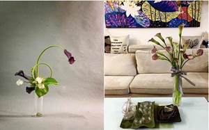 Không gian sống đẹp kiêu sa khi được trang trí với loài hoa rum đỏng đảnh