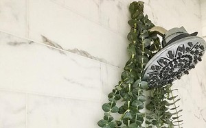Cả nhà thắc mắc khi thấy mẹ treo cành cây này trên vòi sen, đến khi tắm ai cũng thích và hiểu lý do
