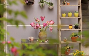 Ngôi nhà phố góc nào cũng xinh xắn và lãng mạn với hoa tươi của người phụ nữ Hà Thành