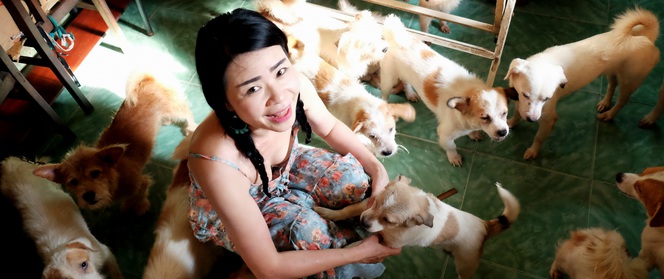 Cô nàng độc thân nuôi 91 con chó ở Sài Gòn: Chồng có thể không có, nhưng chó phải có... một đàn