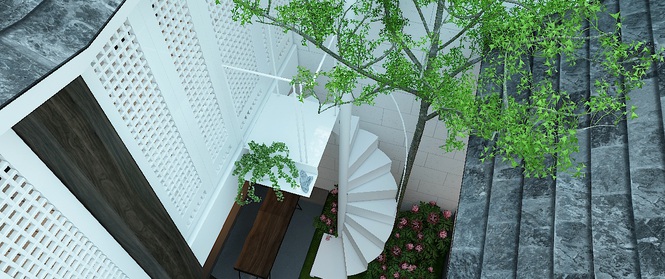 Nhà ống 33m² trong ngõ hẹp có những khoảng xanh bắt mắt với tổng chi phí chưa đến 400 triệu