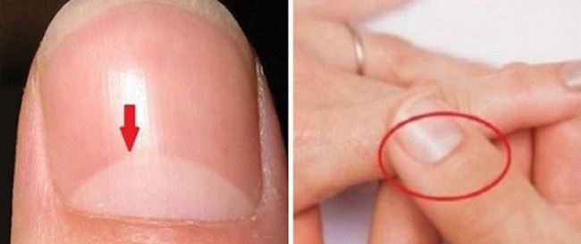 20 bí mật "động trời" về cơ thể con người bạn chưa từng được nghe đến