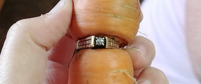 Đánh rơi nhẫn kim cương khi làm vườn, 13 năm sau người phụ nữ nhận được "món quà bất ngờ"