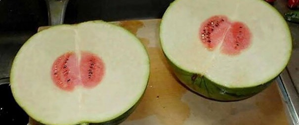 Còn gì đau đớn hơn khi mua đồ ăn về rồi phải "khóc không thành tiếng" thế này