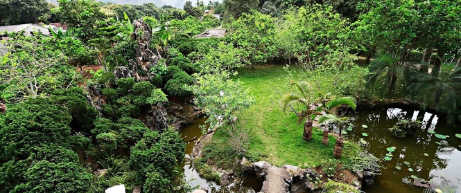Nhà vườn xanh mát bóng cây, hoa nở đẹp đến "nghẹt thở" cách Hà Nội 45 phút chạy xe