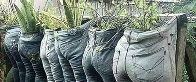 Những ý tưởng làm vườn có 1-0-2 đến các bác nông dân cũng phải "ngả mũ bái phục"