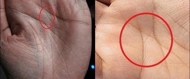 Chỉ 3% dân số thế giới sở hữu đường chỉ tay như thế này, liệu bạn có nằm trong số đó?