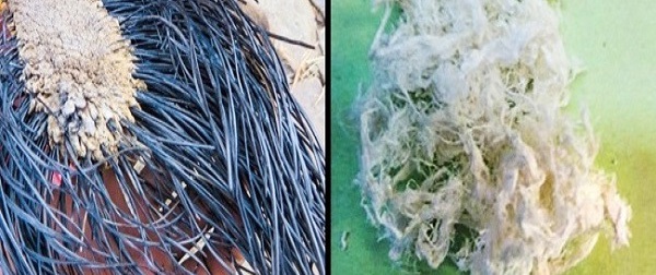 Đây là những thứ thường xuyên nghe tên nhưng chẳng ai biết "mặt mũi" chúng ra sao, số 2 thật bất ngờ