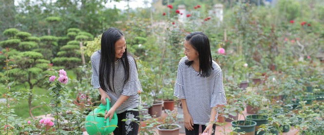 Ngôi nhà yên bình bên vườn hoa hồng với 3000 gốc hoa hồng ngoại của cô giáo ở Nam Định