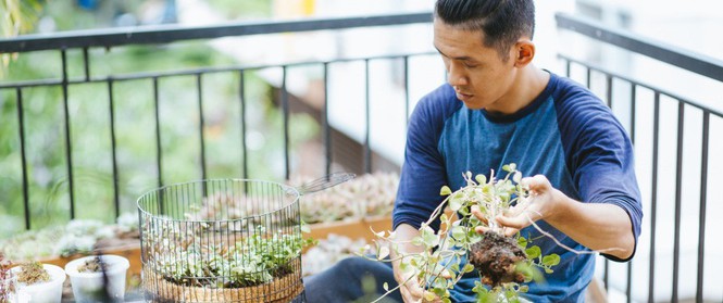 Chàng họa sĩ 9x độc thân ở Sài Gòn với thú vui làm tiểu cảnh Terrarium khiến vạn người mê