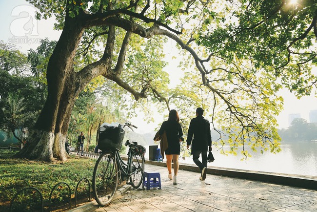 Ngày cuối cùng năm cũ đang trôi đi bình dị mà đẹp đến nao lòng như thế này đây - Ảnh 2.