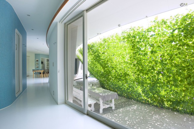 Ngôi nhà vườn hình thuyền độc đáo với điểm nhấn từ giàn cây leo xanh tươi mát mắt ở Nhật Bản - Ảnh 2.