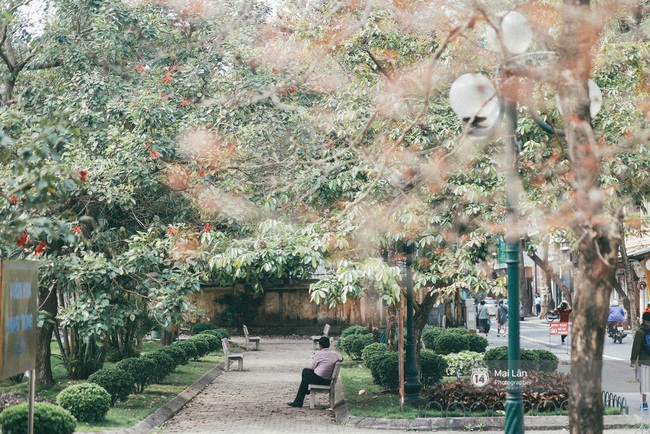 Hà Nội những ngày này lãng mạn đến lạ trong sắc vàng của mùa cây thay lá - Ảnh 16.