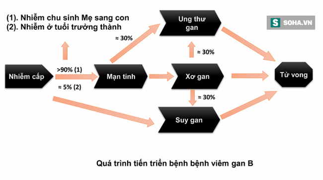 Căn bệnh dẫn đến xơ gan và ung thư gan: Rất nguy hiểm vì nhiều người mắc mà không biết - Ảnh 2.