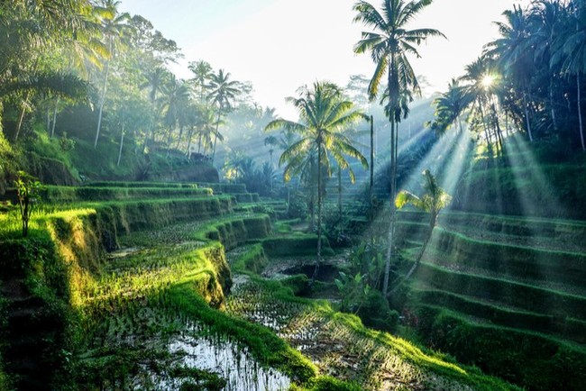 6 điểm du lịch đáng đồng tiền bát gạo nên đến vào 2019, một điểm ở ngày Đông Nam Á - Ảnh 6.
